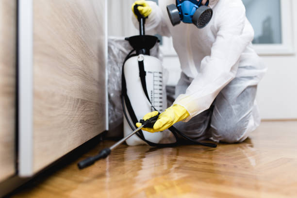 Best Exterminator Services  in Larchmont, NY