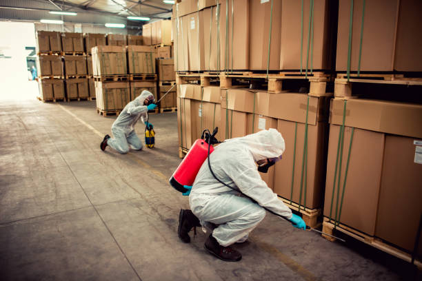 Wasp Removal Services in Larchmont, NY