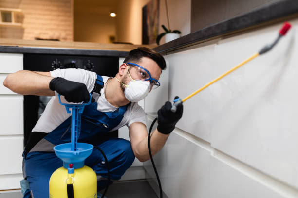 Best Rat Extermination Near Me  in Larchmont, NY
