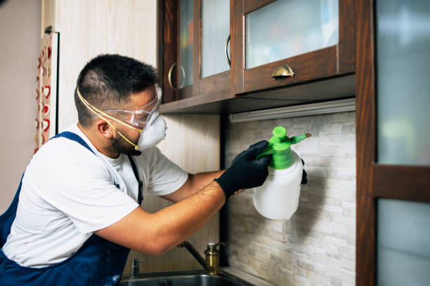 Best Best Pest Control Companies  in Larchmont, NY