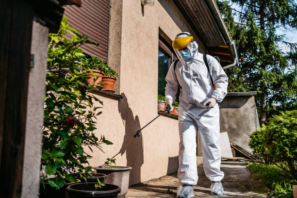 Best Wasp Removal Services  in Larchmont, NY