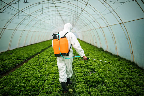 Reliable Larchmont, NY Pest Control Solutions