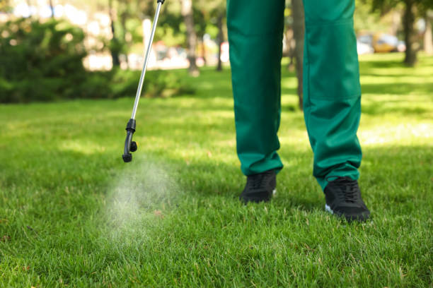 Wildlife Control Services in Larchmont, NY