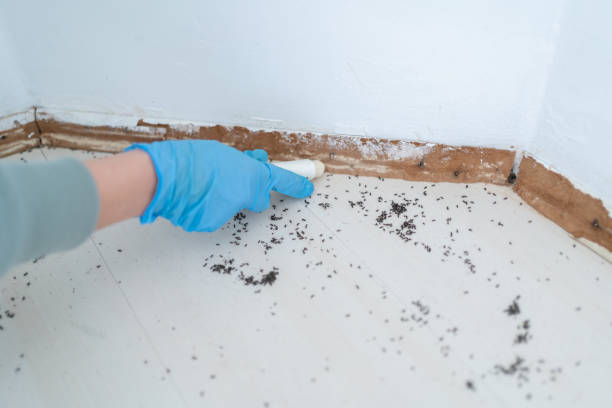 Best Mosquito Control Services  in Larchmont, NY
